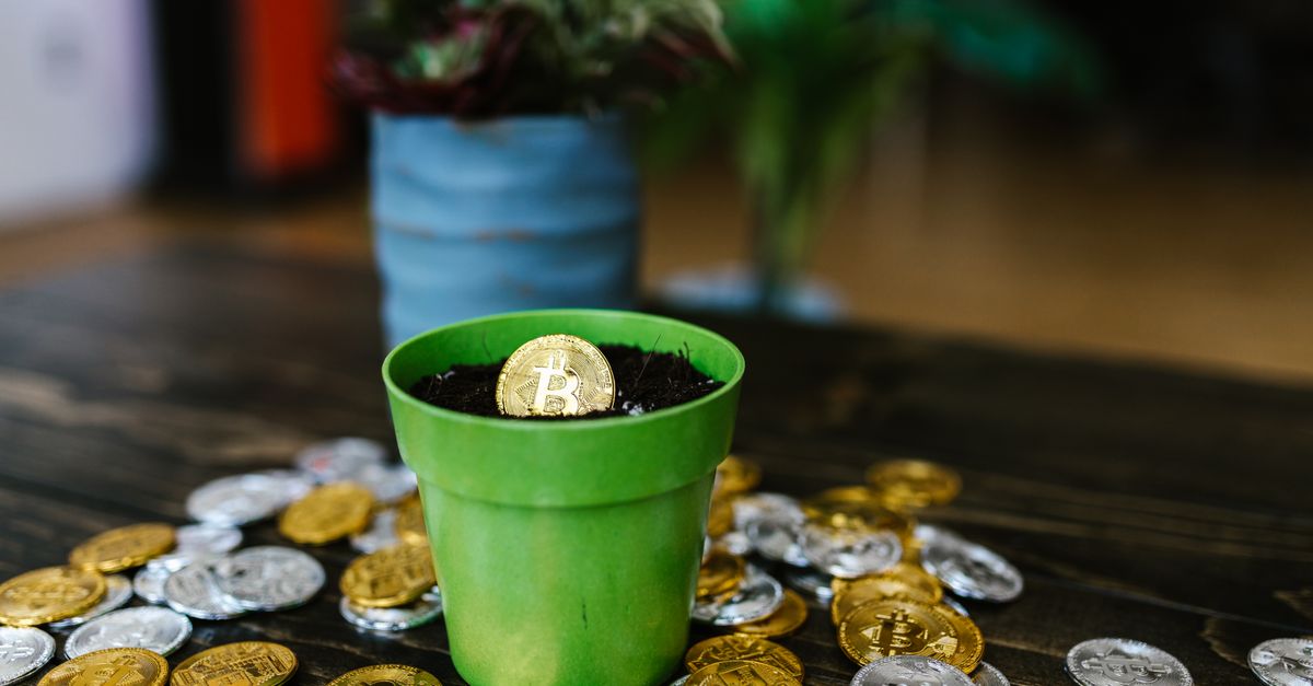 Groeiende crypto markt met lentethema